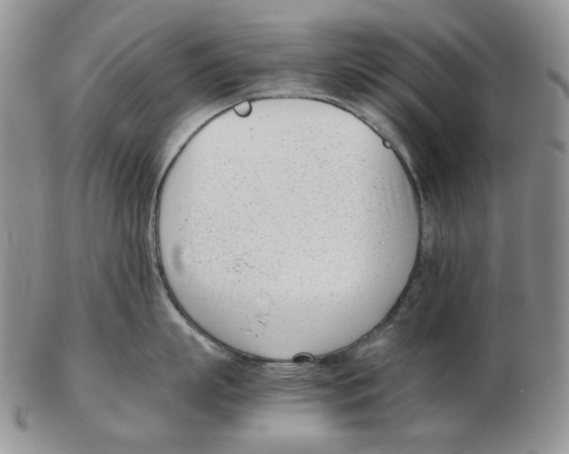 X0000102760863200809151013