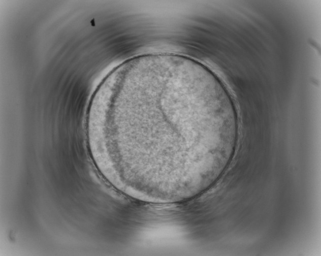 X0000102760864200809151013