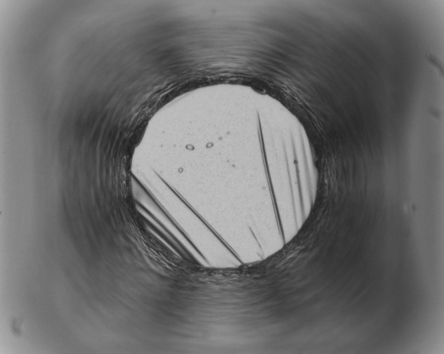 X0000102760868200809151012