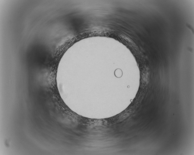 X0000102760869200809151012