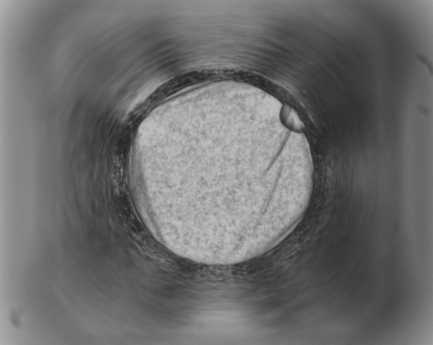 X0000102760871200809151012