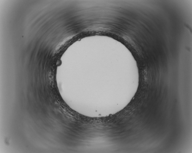 X0000102760872200809151012