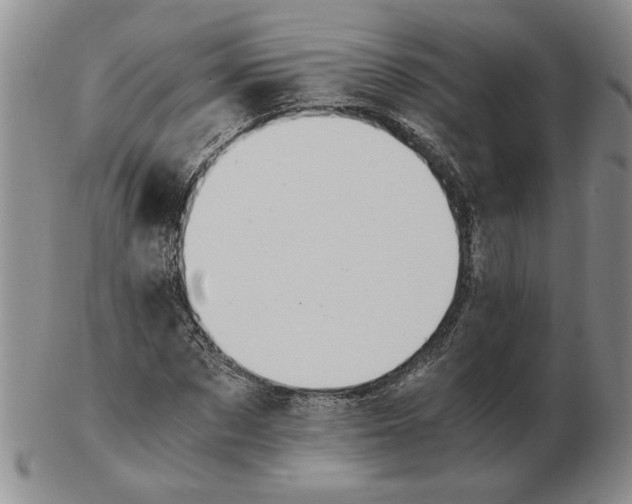 X0000102760873200809151012