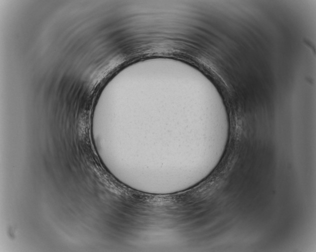 X0000102760874200809151012