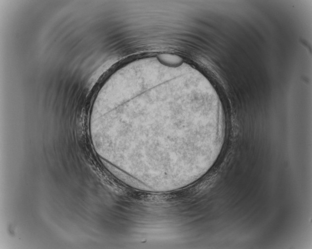 X0000102760875200809151011