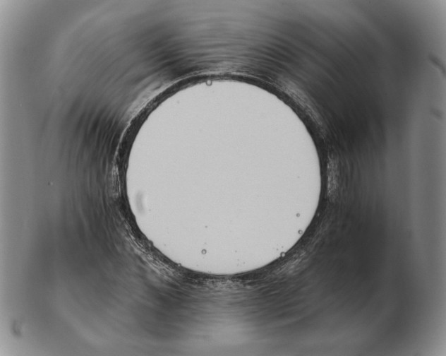 X0000102760876200809151011