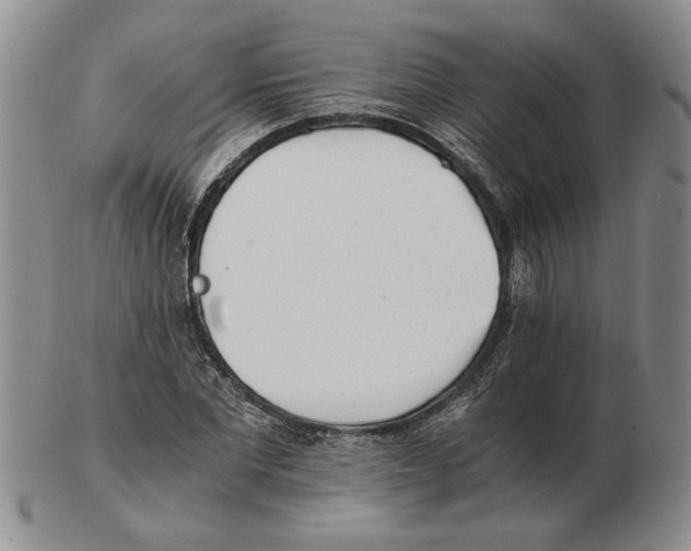 X0000102760877200809151011