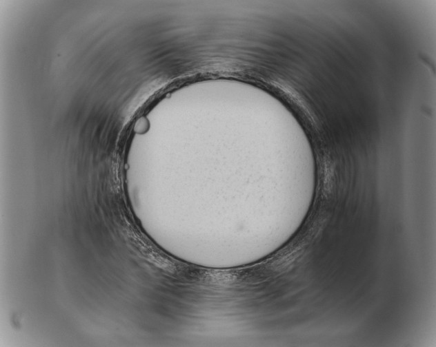 X0000102760878200809151011