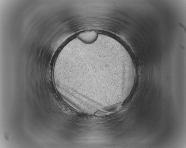 X0000102760879200809151011