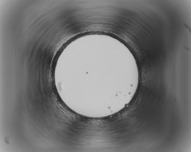 X0000102760880200809151011