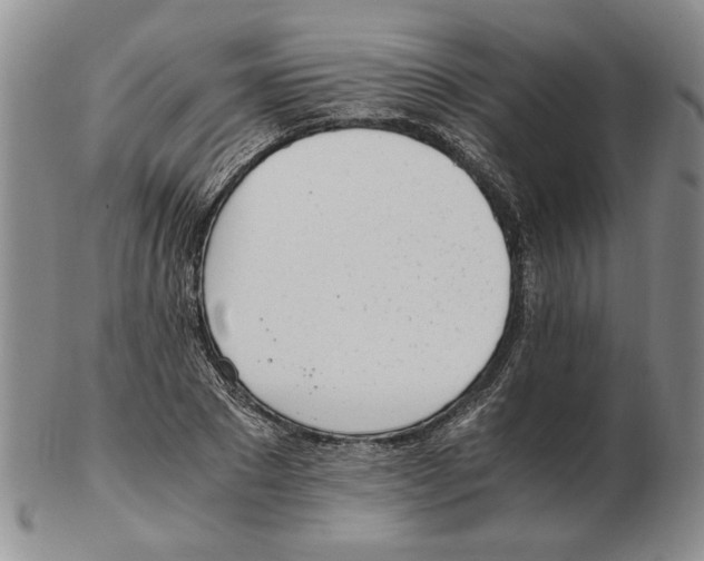 X0000102760881200809151011