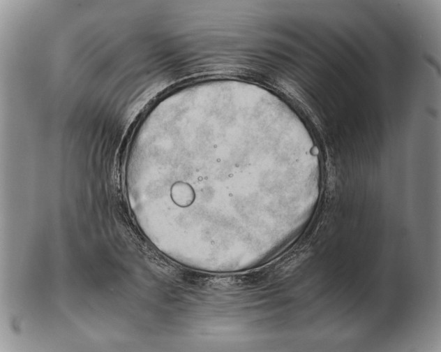 X0000102760883200809151011