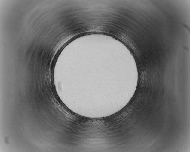 X0000102760884200809151011