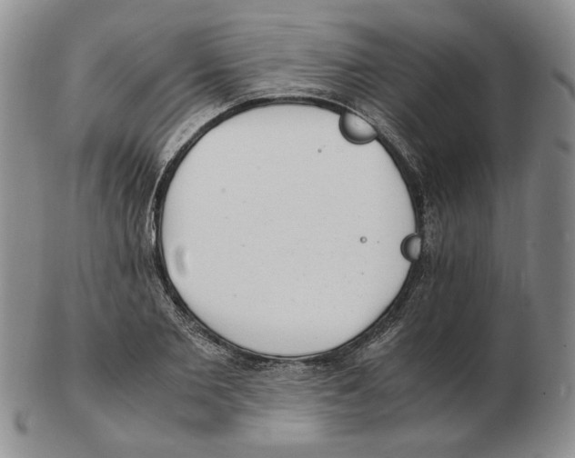 X0000102760885200809151011