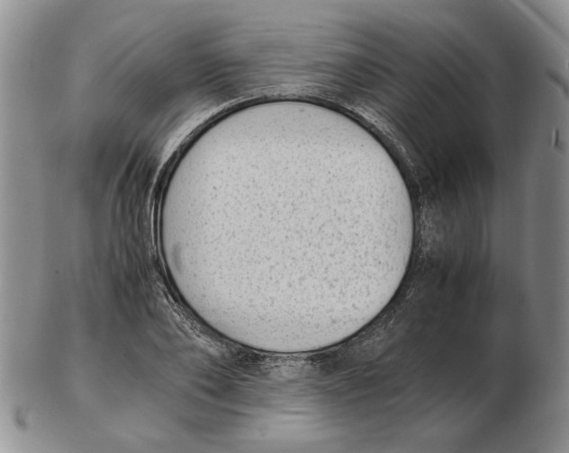 X0000102760886200809151011