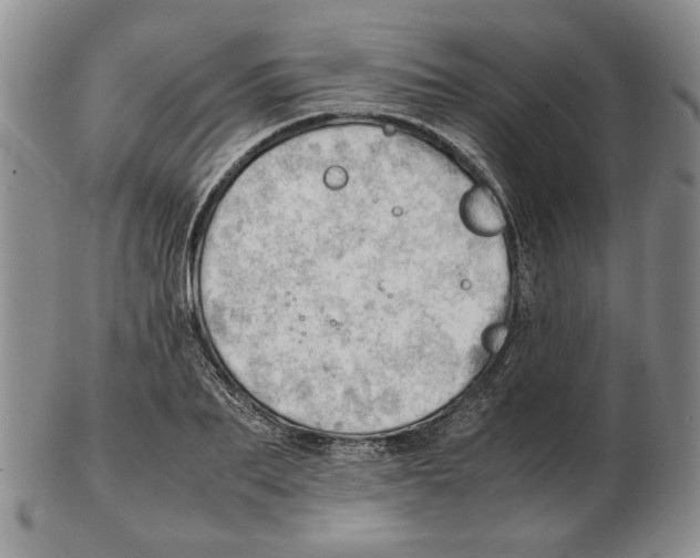 X0000102760887200809151011