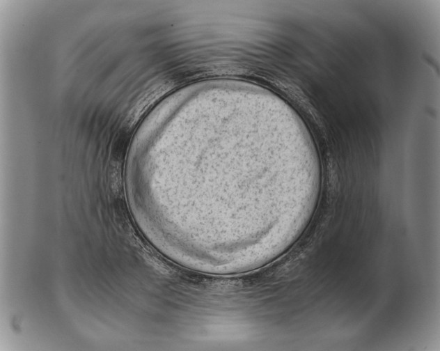 X0000102760889200809151011