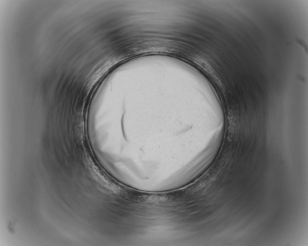 X0000102760890200809151011