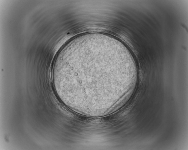 X0000102760891200809151011