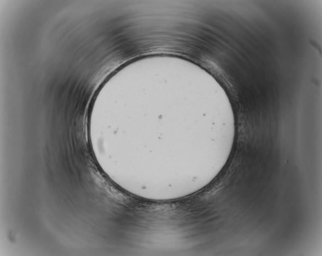 X0000102760892200809151011