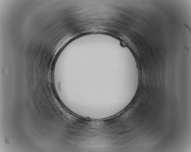 X0000102760893200809151011