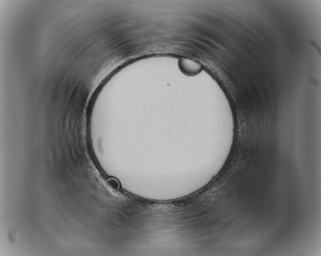 X0000102760894200809151011