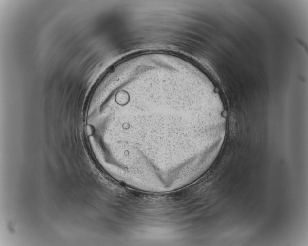 X0000102760895200809151011