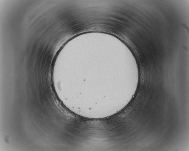 X0000102760896200809151011