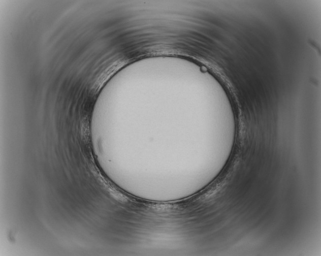 X0000102760897200809151011