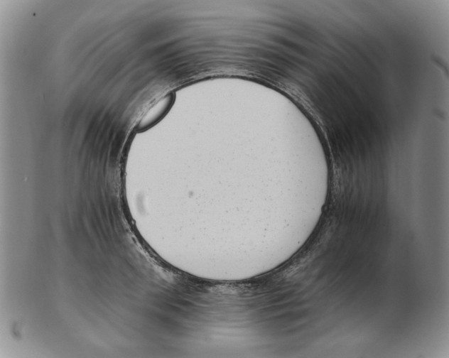 X0000102760898200809151011