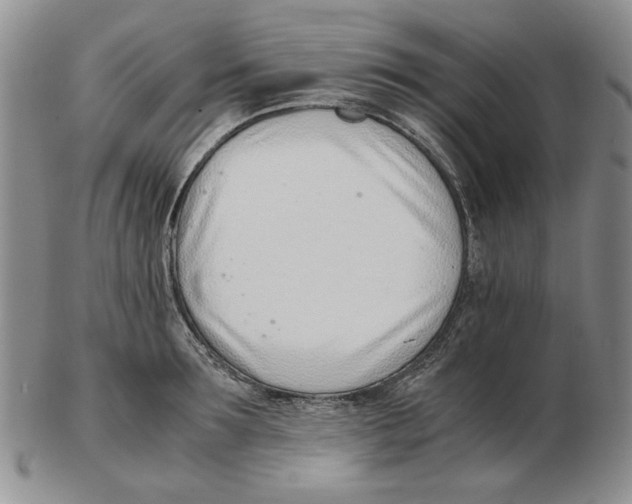 X0000102760899200809151011