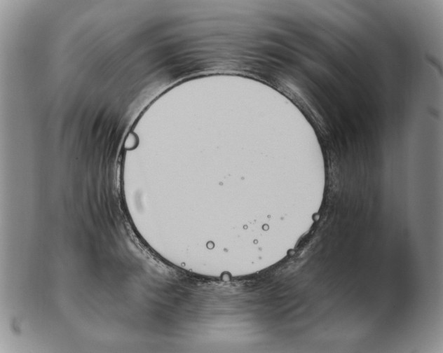 X0000102760900200809151011