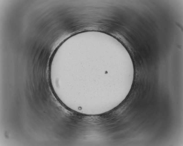 X0000102760902200809151011