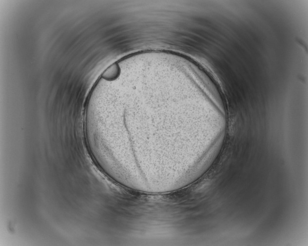 X0000102760903200809151011