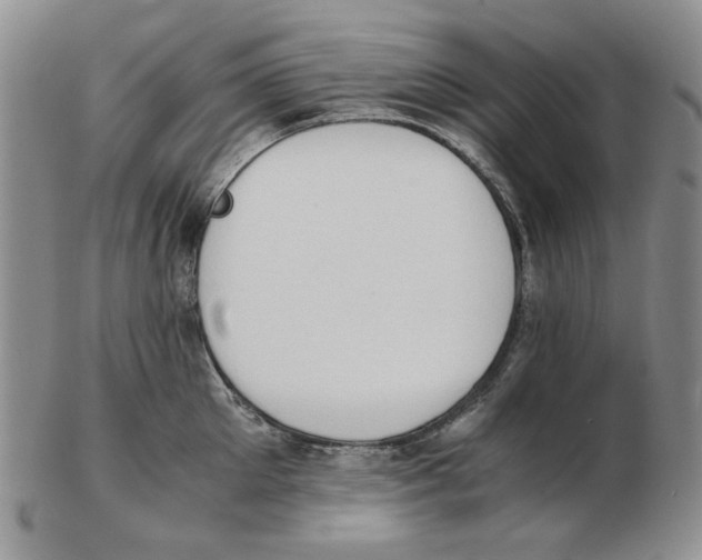 X0000102760905200809151011