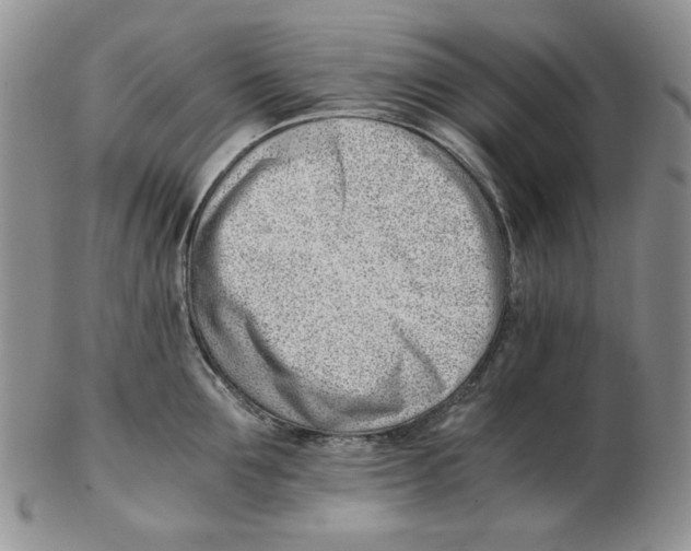 X0000102760907200809151011