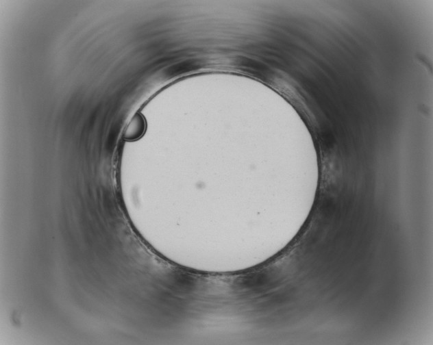 X0000102760908200809151011