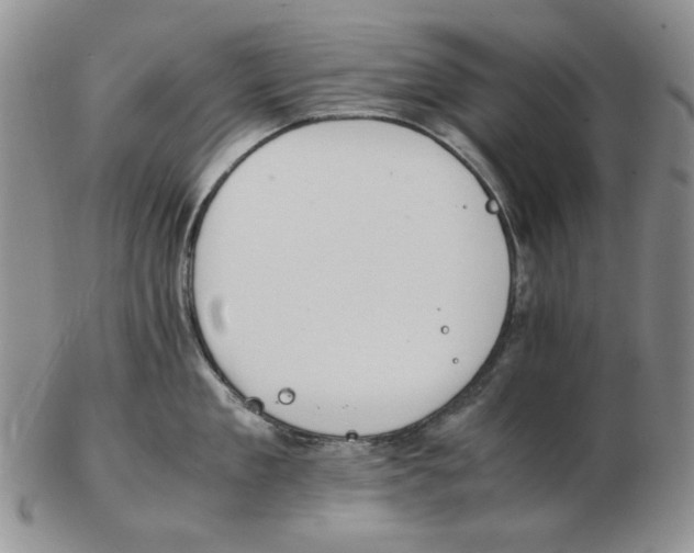 X0000102760909200809151011