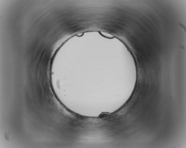 X0000102760910200809151011