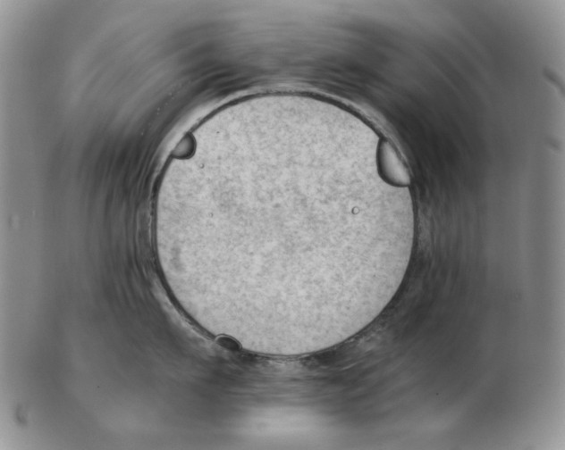 X0000102760911200809151011