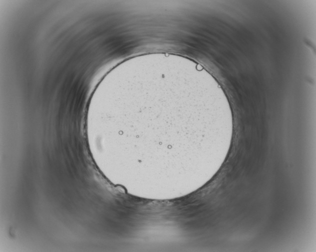 X0000102760912200809151011