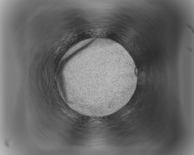 X0000102760913200809151010