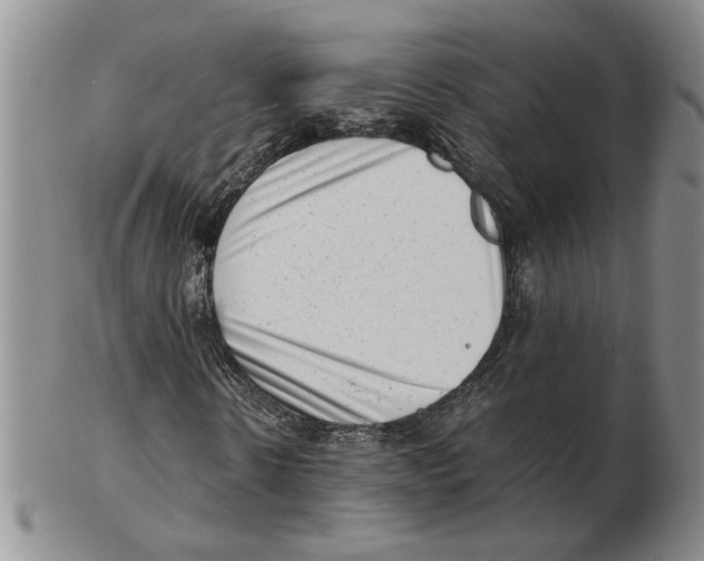 X0000102760914200809151010