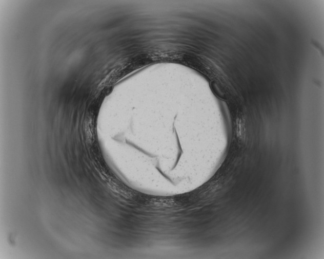 X0000102760915200809151010