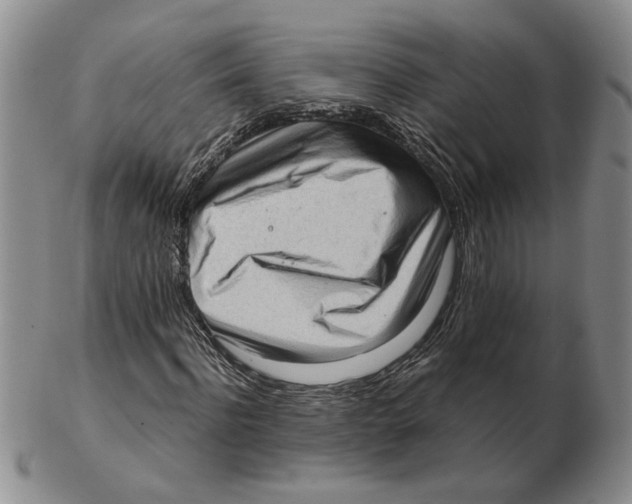 X0000102760916200809151010