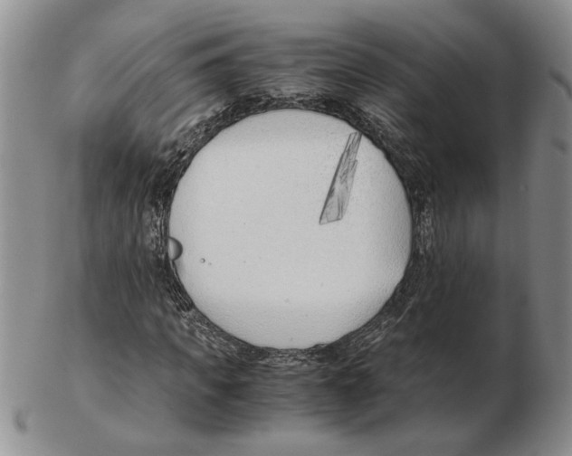 X0000102760917200809151010