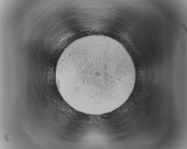 X0000102760918200809151010