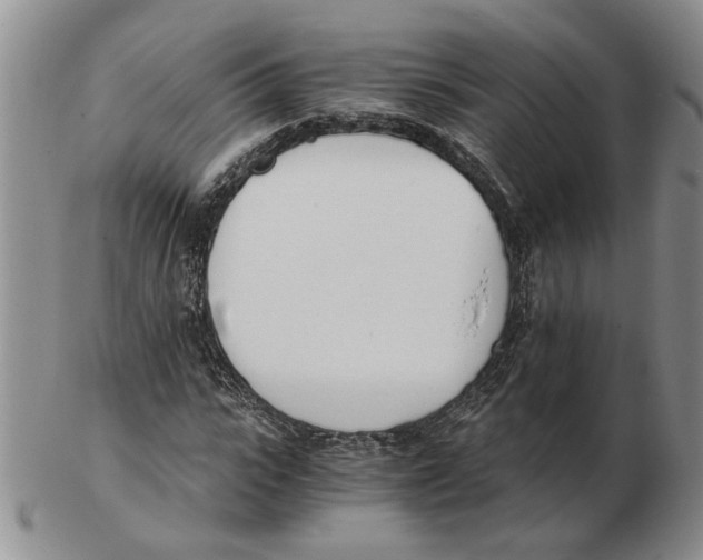 X0000102760919200809151010