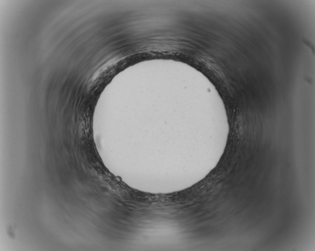 X0000102760920200809151010