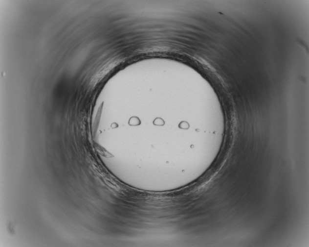 X0000102760921200809151010